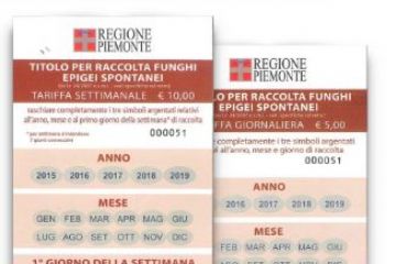 Disponibili Voucher raccolta funghi annualità 2026/2027/2028